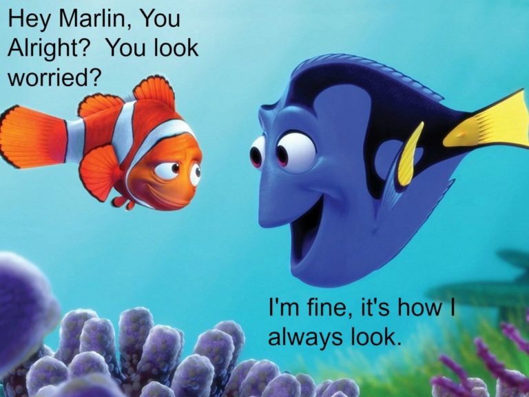 One kickass family, finding your tribe, and other lessons from Finding Dory