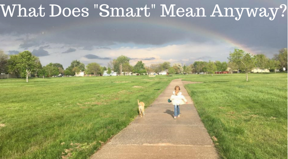 What does “smart” mean anyway?