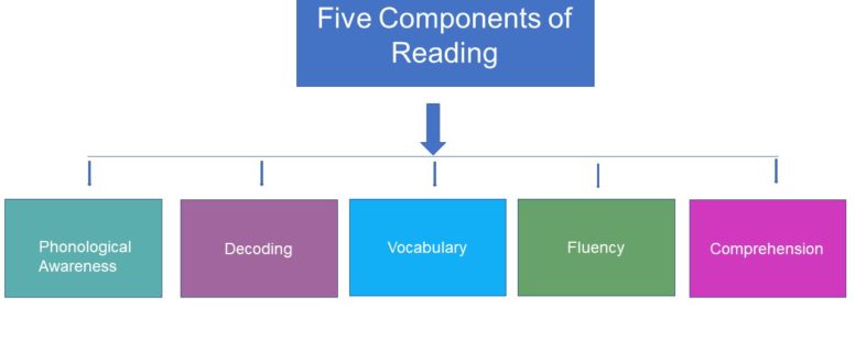SLP’s integral role in the five components of reading